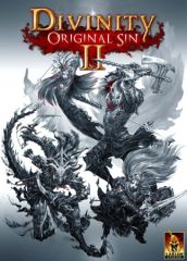 Divinity: Original Sin 2 box art